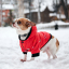Зимний комбинезон куртка для маленьких собак Terry красный XL-4